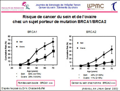 Risque de cancer du sein et de l'ovaire chez un sujet porteur de mutation BRCA1/BRCA2