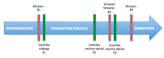 Femme Fontaine Avantage Ou Inconvénient