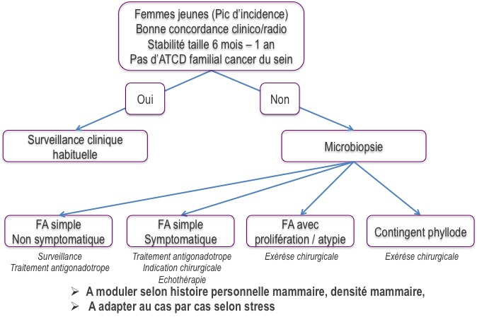 Fibroadénome mammaire : une pathologie sous-estimée ? | Gynéco Online