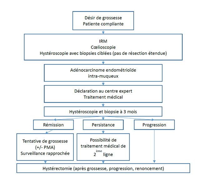 Traitement conservateur en cas de cancer de l'endomètre : mise au ...