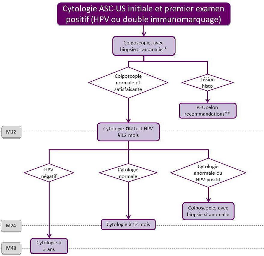 Frottis ASCUS ou Bas grade - Conduite à tenir | Gynéco Online