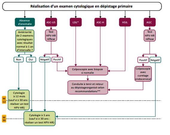 dépistage, dépistage cancer du col, HPV, frottis, prévention cancer, col de l'utérus