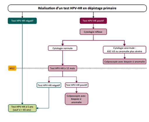 dépistage, dépistage cancer du col, HPV, frottis, prévention cancer, col de l'utérus